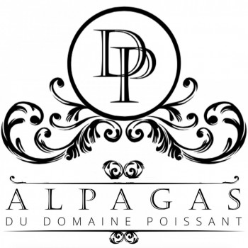 Alpagas du Domaine Poissant