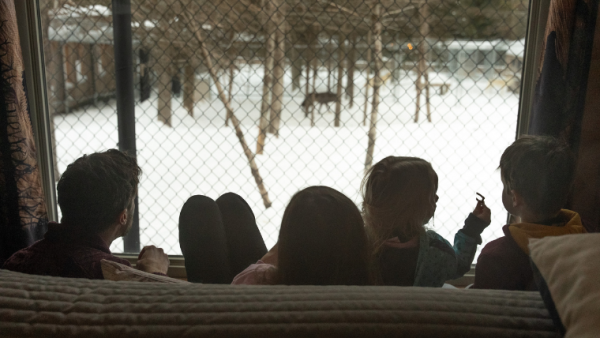 Une nuit avec les loups et 3 jours d’aventure en famille en Chaudière-Appalaches